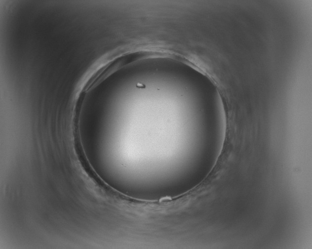 X0000083010007200702091303