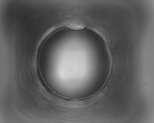 X0000083010008200702091303