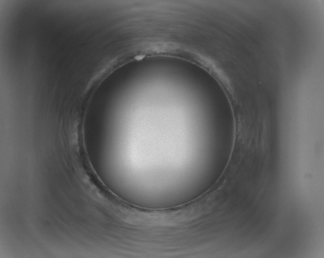 X0000083010010200702091303