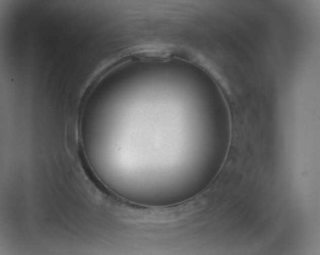 X0000083010011200702091303