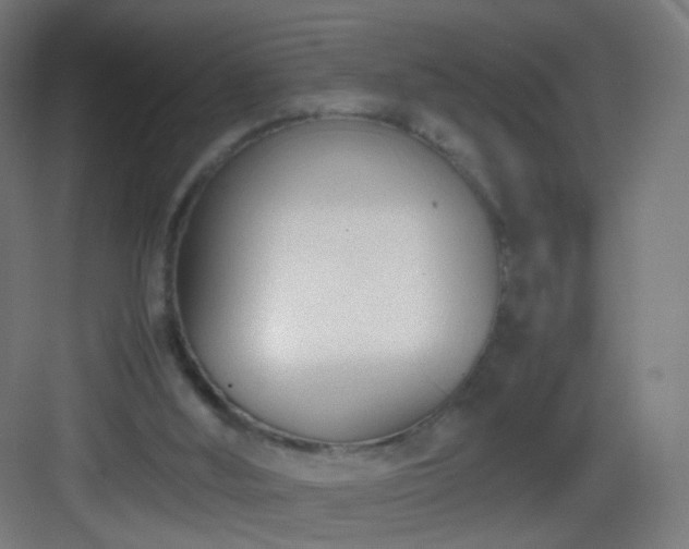 X0000083010012200702091303