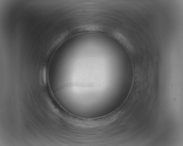 X0000083010014200702091302