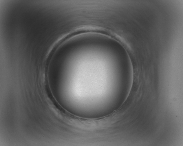 X0000083010015200702091302