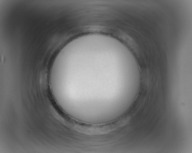 X0000083010016200702091302