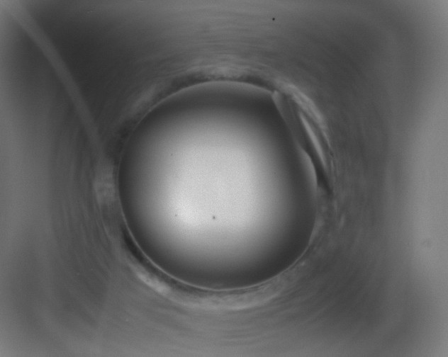 X0000083010017200702091302