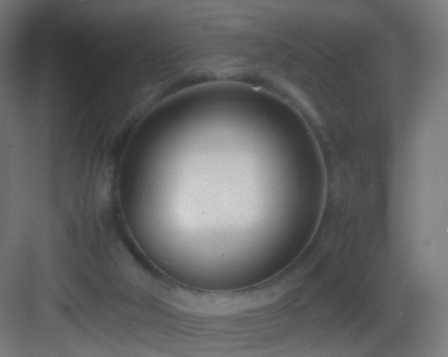 X0000083010018200702091302