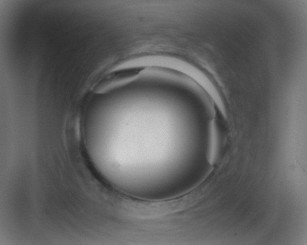 X0000083010019200702091302