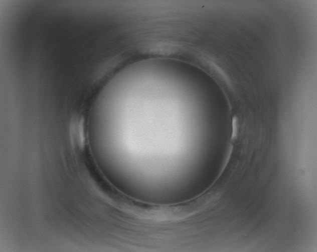 X0000083010020200702091302