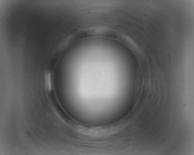 X0000083010022200702091302