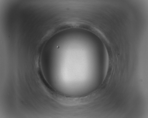 X0000083010023200702091302