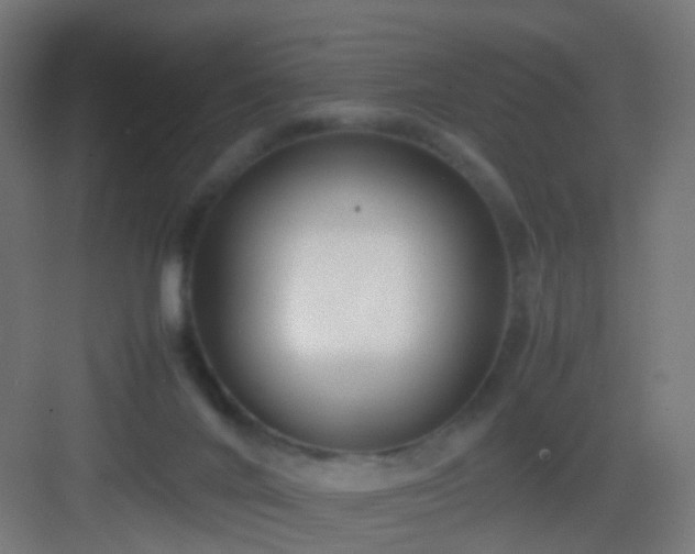 X0000083010024200702091302