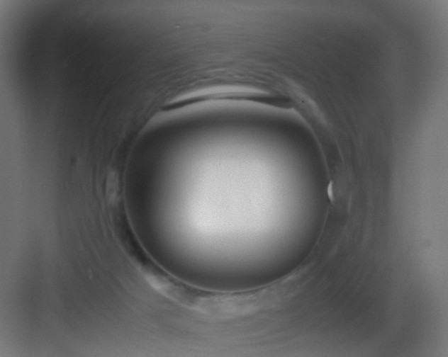 X0000083010025200702091302