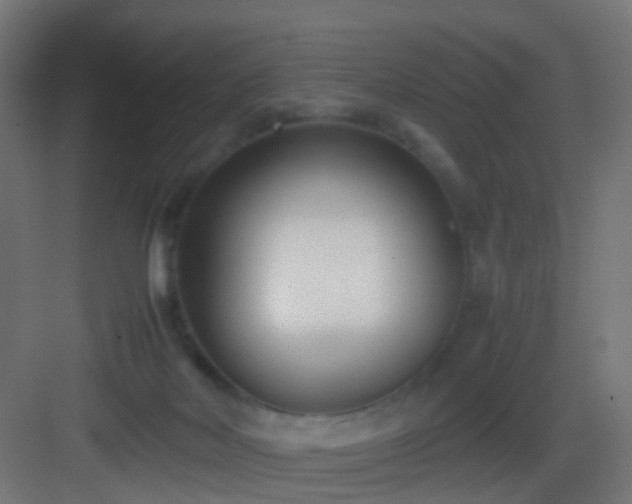 X0000083010026200702091302