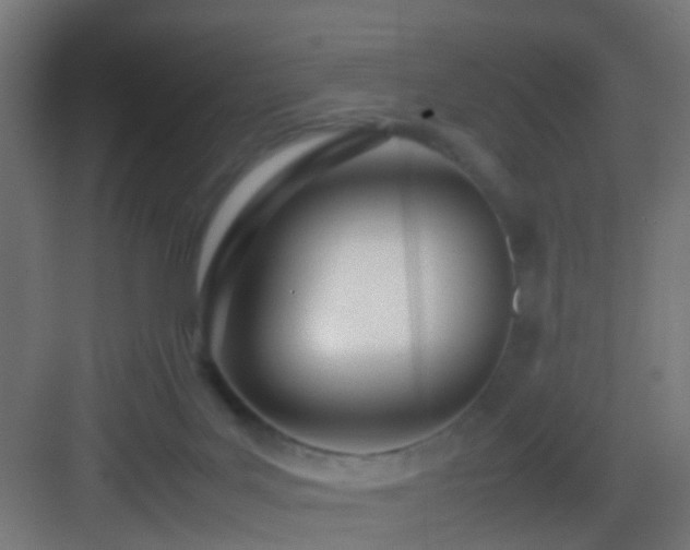 X0000083010027200702091302