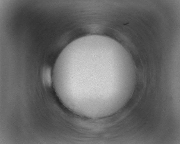 X0000083010028200702091302