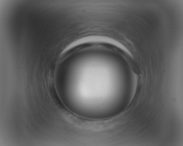 X0000083010029200702091302