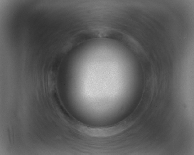 X0000083010030200702091302