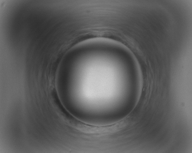 X0000083010031200702091302