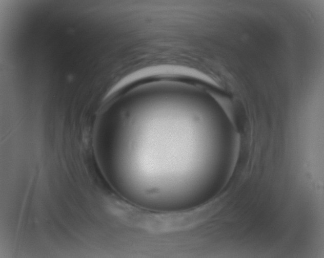 X0000083010033200702091302