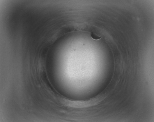 X0000083010034200702091302