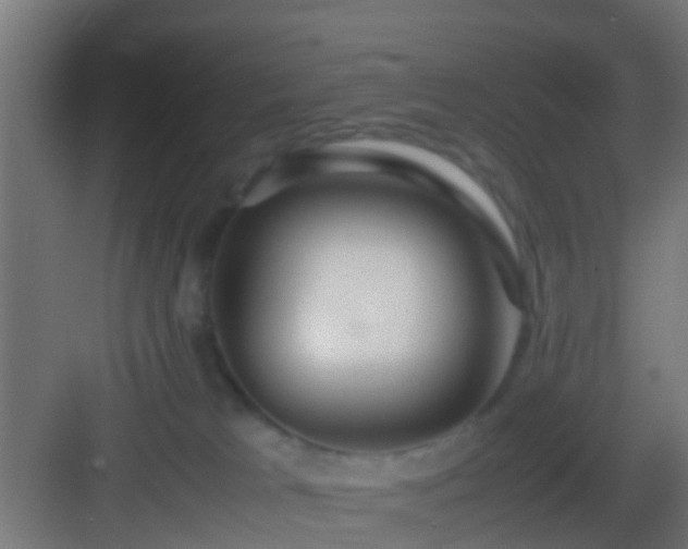 X0000083010037200702091302