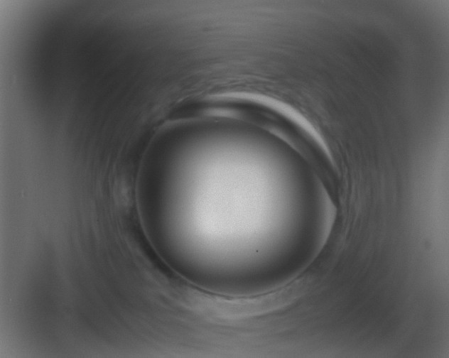 X0000083010039200702091302