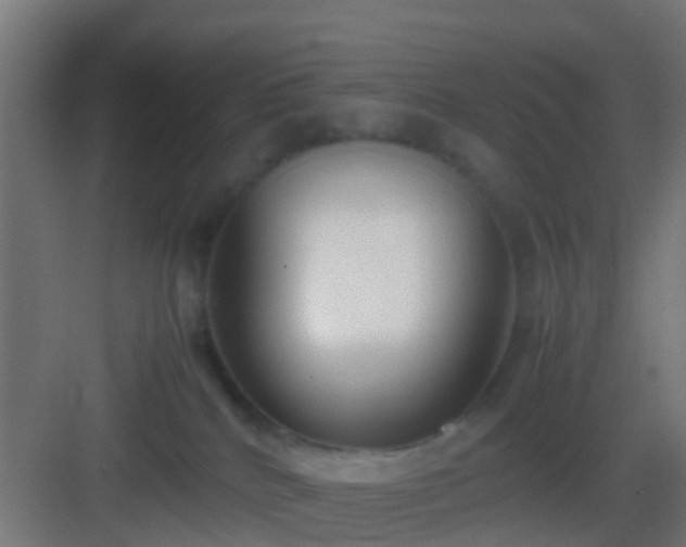 X0000083010040200702091302