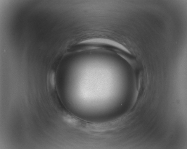 X0000083010041200702091302