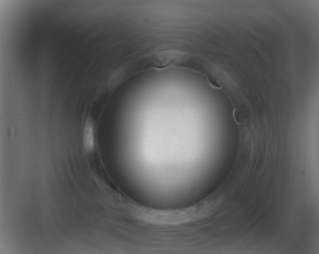 X0000083010042200702091302