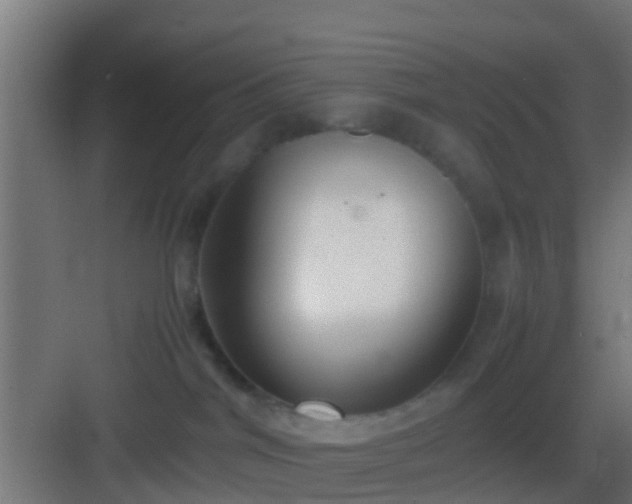 X0000083010044200702091302