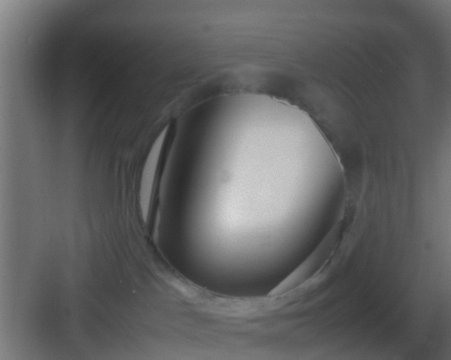 X0000083010045200702091302