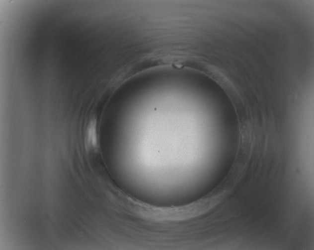 X0000083010046200702091302