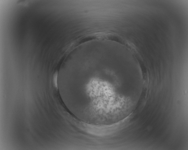 X0000083010047200702091302