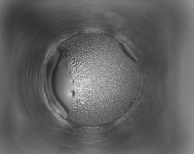 X0000083010049200702091301