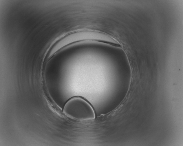 X0000083010050200702091301