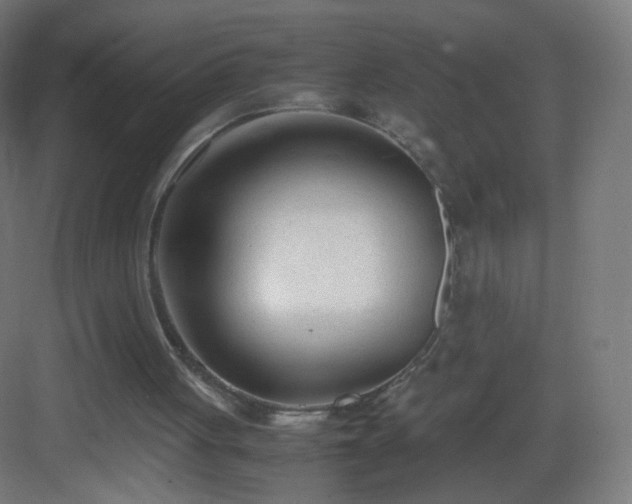 X0000083010051200702091301