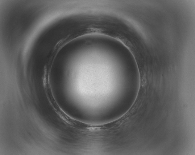 X0000083010052200702091301