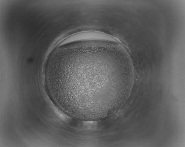 X0000083010053200702091301