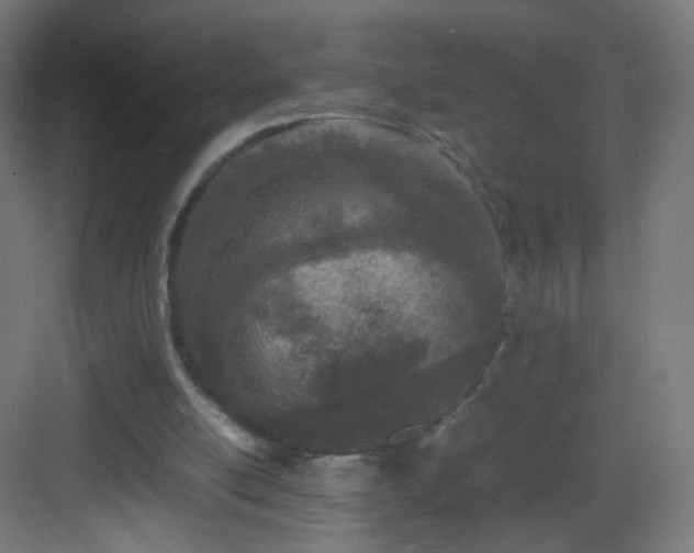 X0000083010054200702091301