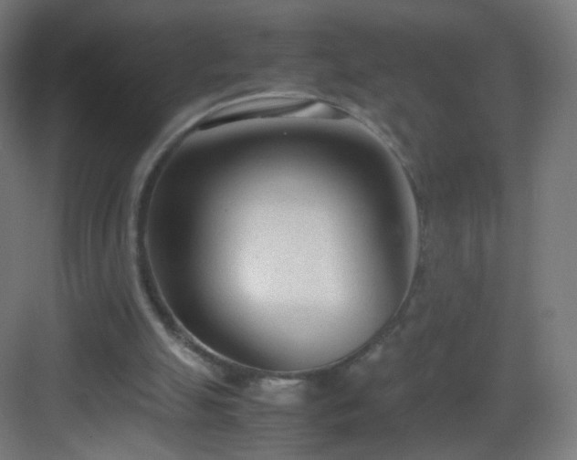 X0000083010055200702091301