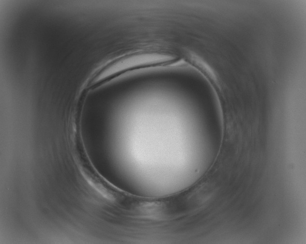 X0000083010059200702091301