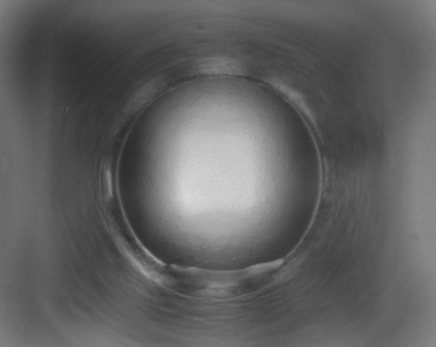 X0000083010061200702091301