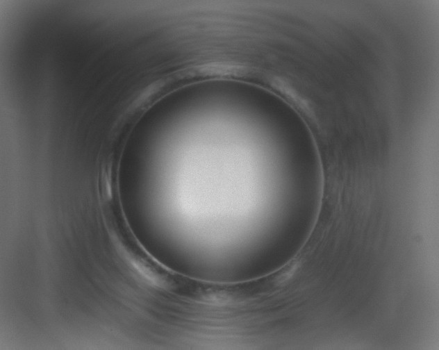 X0000083010062200702091301