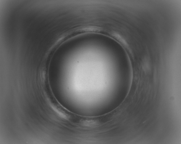 X0000083010063200702091301