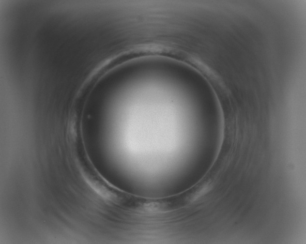 X0000083010064200702091301