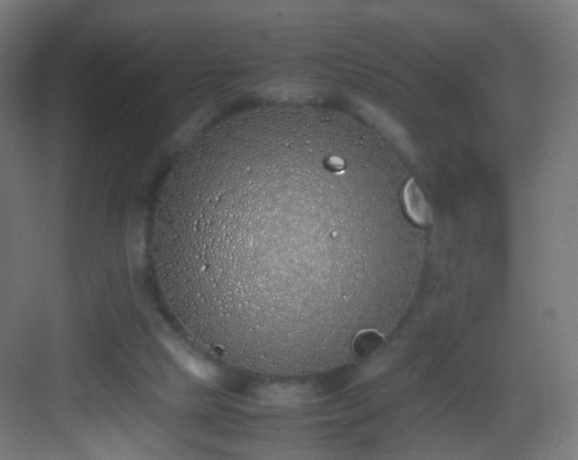 X0000083010065200702091301