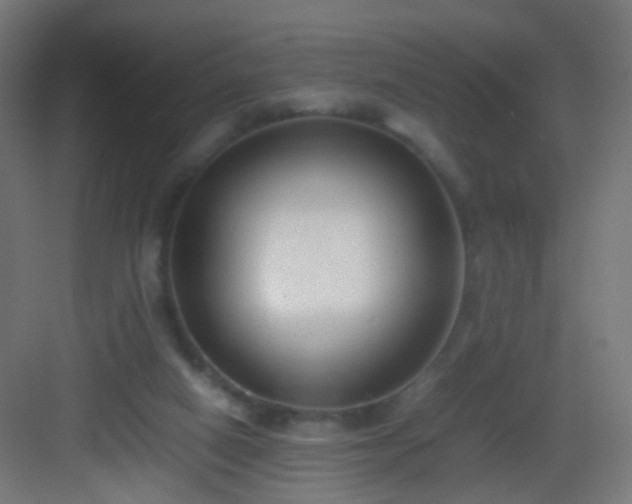 X0000083010066200702091301