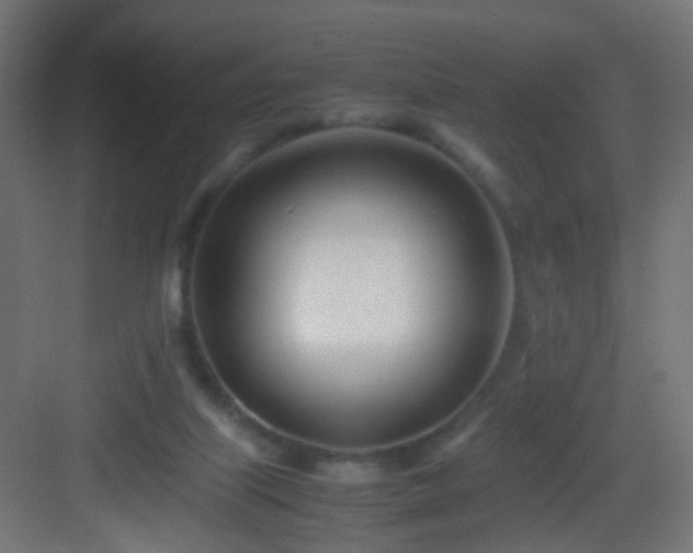 X0000083010067200702091301