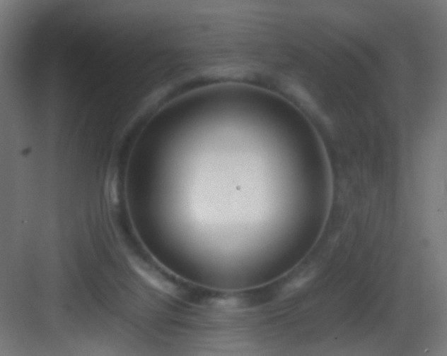 X0000083010068200702091301