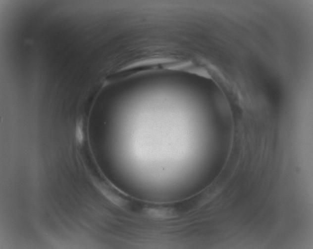 X0000083010069200702091301